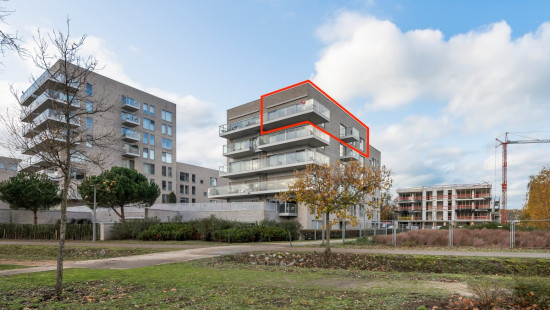 Brilduikerstraat - 4 - 501 - 2050