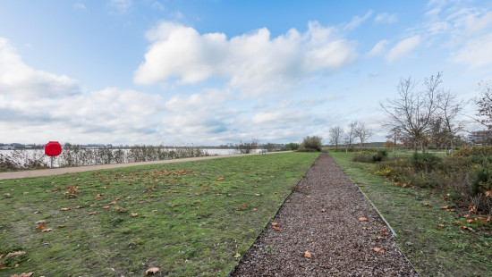 Brilduikerstraat - 4 - 501 - 2050