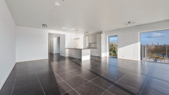 Brilduikerstraat - 4 - 501 - 2050