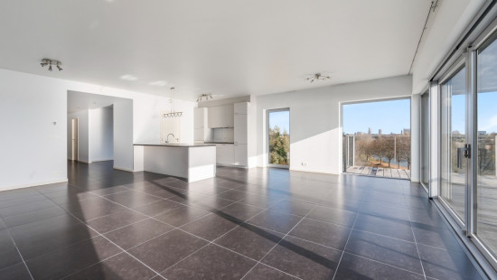 Brilduikerstraat - 4 - 501 - 2050