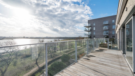 Brilduikerstraat - 4 - 501 - 2050