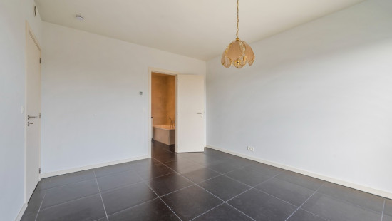 Brilduikerstraat - 4 - 501 - 2050