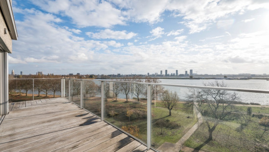 Brilduikerstraat - 4 - 501 - 2050