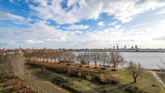 Brilduikerstraat - 4 - 501 - 2050