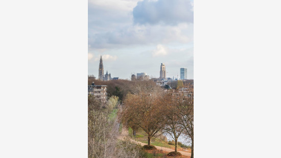 Brilduikerstraat - 4 - 501 - 2050