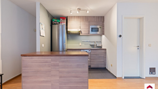 Zandgang - 8 - 01 - 3000