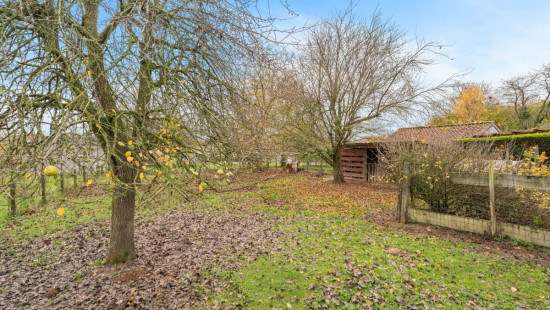 Dreefstraat - 30 - - 9552