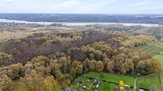 Negenoogstraat - 11 - - 9140