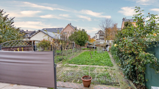 Adolphe - 12 - - 4709