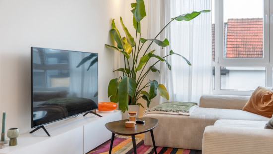 Berendrechtstraat - 92 - - 2020