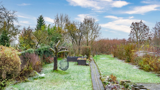 Rue de Schoppach - 39 - - 6700