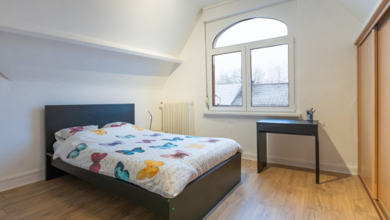 Rue de Schoppach - 39 - - 6700