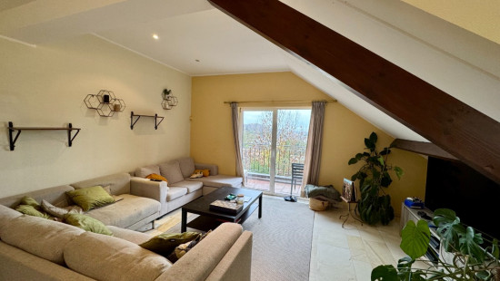 Brusselsesteenweg - 31A - 021 - 1560