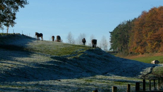 Kausdelle - 16 - - 3040