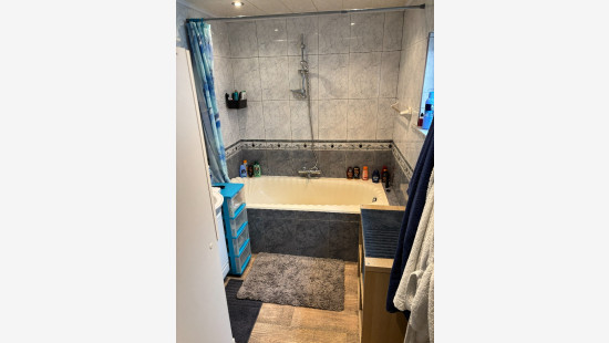 Rue des Vaches - 297 - - 7390