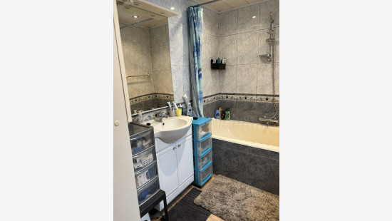 Rue des Vaches - 297 - - 7390