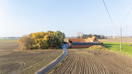 Wulpendammestraat - 4 - - 8670