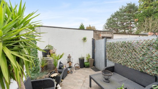 Laurierstraat - 14 - - 9280