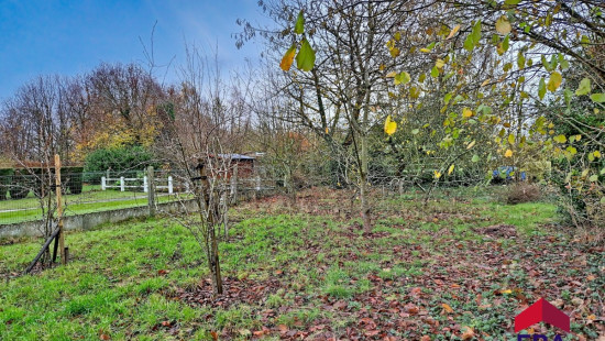 Joseph Bouché - 7 - - 5310