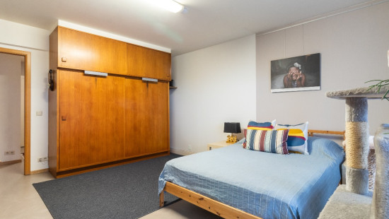 Krijgslaan - 245 - 0.2 - 2610