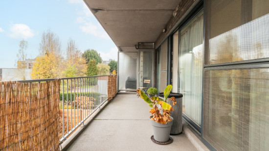 Krijgslaan - 245 - 0.2 - 2610