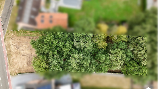 Meelbergstraat - 76 rechts - - 3583