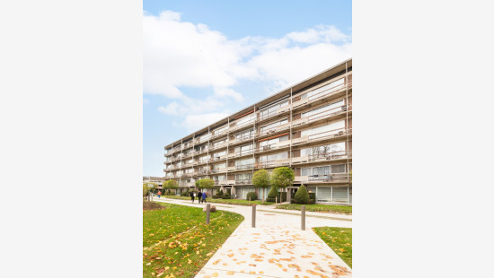 Valkenveld - 46 - - 2610