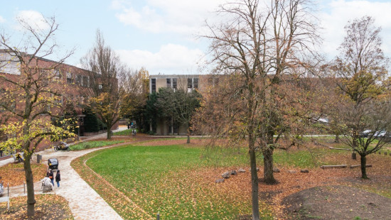 Valkenveld - 46 - - 2610