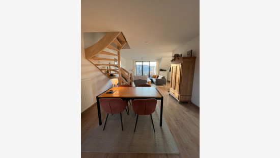 Ganzendries - 48 - 4 - 2320