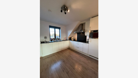 Ganzendries - 48 - 4 - 2320