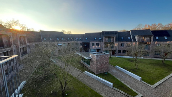 Ganzendries - 48 - 4 - 2320