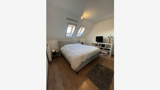 Ganzendries - 48 - 4 - 2320