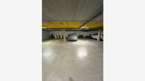 Ganzendries - 48 - 4 - 2320