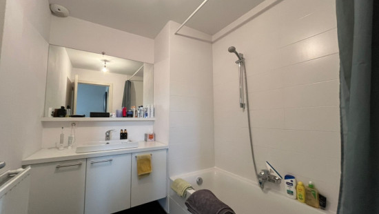 Ganzendries - 48 - 4 - 2320