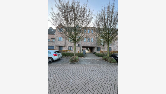 Ganzendries - 48 - 4 - 2320