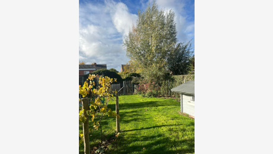 Mandellaan - 41 - - 8890