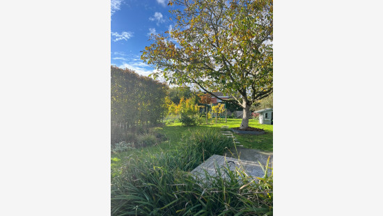 Mandellaan - 41 - - 8890