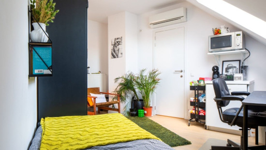 Kapucijnenvoer - 205 - 302 - 3000