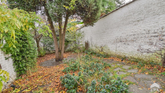 Rue Le Corrège - 66 - - 1000