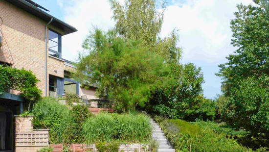 Avenue Louis David - 19 - - 1410