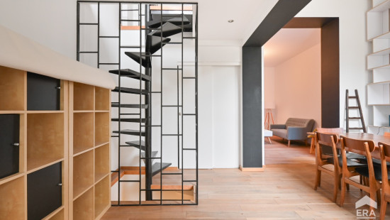 Rue Le Corrège - 66 - - 1000