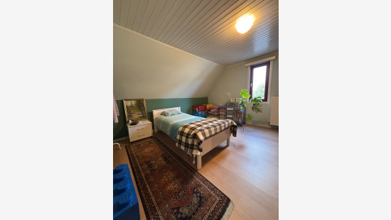 Bradericplein - 14 - - 8340