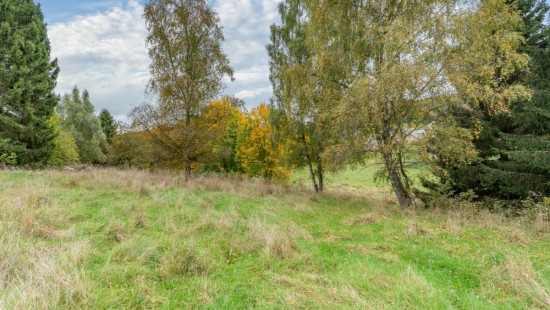 Rue du Colonel Mallegol - LOT 2 - - 6852