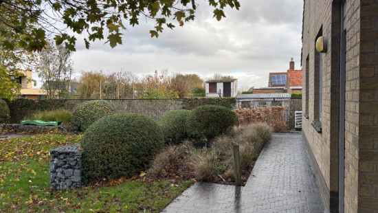 Wulpendammestraat - 156 - - 8630