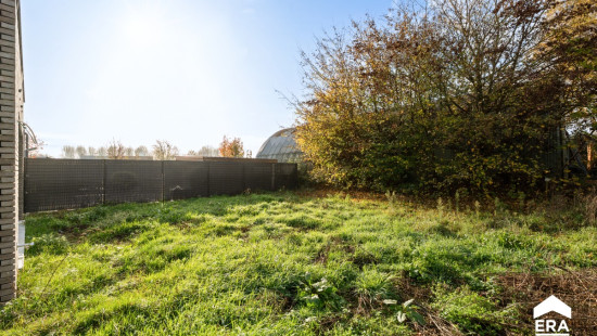 Nieuwstraat - 6 - - 3350