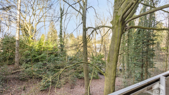 Drève des Renards - 6 - - 1180