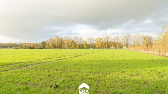 Bergenstraat - 120 - - 8020