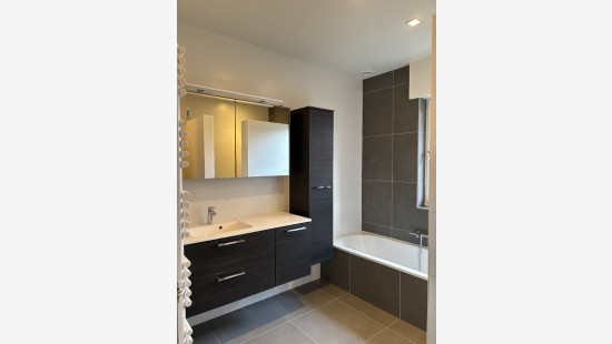 Wulpendammestraat - 156 - - 8630