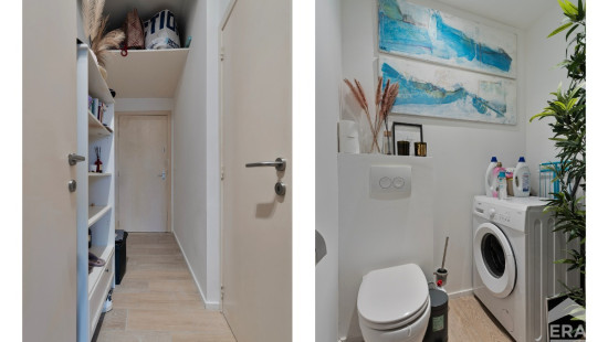 Drève des Renards - 6 - - 1180