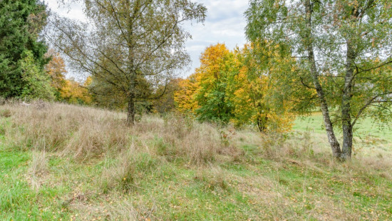 Rue du Colonel Mallegol - LOT 1 - - 6852